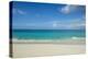 Cabbage Beach, Paradise Island, Nassau, New Providence, Bahamas, Caribbean-Michael Runkel-Premier Image Canvas