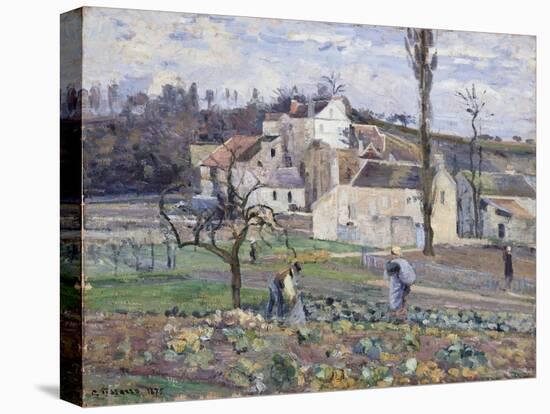 Cabbage Patch Near the Village, 1875-Camille Pissarro-Premier Image Canvas