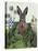 Cabbage Patch Rabbit 1-null-Stretched Canvas