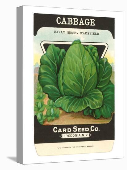 Cabbage Seed Packet-null-Stretched Canvas