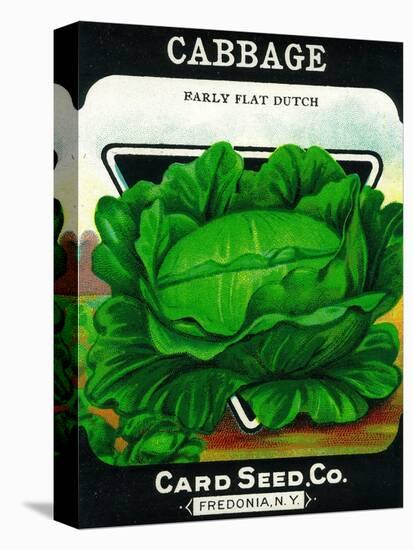 Cabbage Seed Packet-Lantern Press-Stretched Canvas