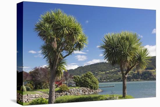 Cabbage trees (Cordyline australis) growing beside Otago Harbour, Macandrew Bay, near Dunedin, Otag-Ruth Tomlinson-Premier Image Canvas