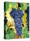 Cabernet Sauvignon Grapes, Napa Valley, California-Karen Muschenetz-Premier Image Canvas