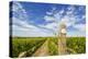 Cabernet Sauvignon Vineyards, Pepper Bridge Winery, Washington, USA-Richard Duval-Premier Image Canvas