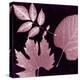 Cabernet Sunprint Leaves-Dan Zamudio-Stretched Canvas