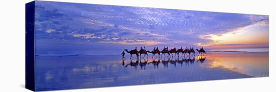 Cable Beach Camels-Wayne Bradbury-Premier Image Canvas