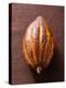 Cacao Pod on Brown Background-null-Premier Image Canvas