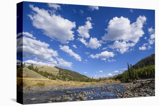 Cache Creek, Yellowstone National Park, Wyoming, United States of America, North America-Gary Cook-Premier Image Canvas
