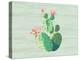 Cacti 1-Kimberly Allen-Stretched Canvas