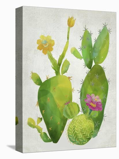 Cacti Collection II-Chariklia Zarris-Stretched Canvas