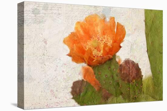 Cacti Flower-Kimberly Allen-Premier Image Canvas