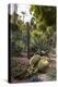 Cacti, Jardin Majorelle, Owned by Yves St. Laurent, Marrakech, Morocco, North Africa, Africa-Stephen Studd-Premier Image Canvas