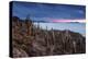 Cacti on the Isla Del Pescado Above the Salar De Uyuni at Sunset-Alex Saberi-Premier Image Canvas