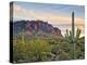 Cacti View II-David Drost-Premier Image Canvas