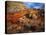 Cactus Among Rocks, Mojave Desert, Valley of Fire State Park, Nevada, USA-Scott T. Smith-Premier Image Canvas