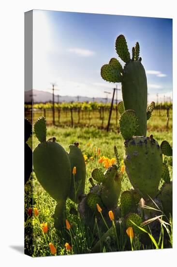 Cactus And Yellow Poppies-George Oze-Premier Image Canvas
