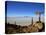 Cactus Arrow on Isla de Los Pescadores, Volcan Tunupa and Salt Flats, Salar de Uyuni, Bolivia-Simon Montgomery-Premier Image Canvas