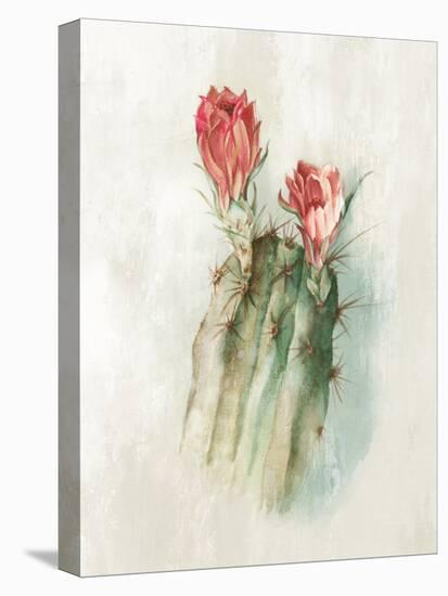 Cactus Bloom II-Alex Black-Stretched Canvas