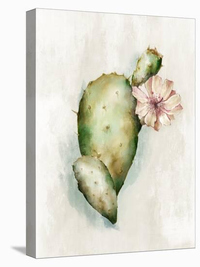 Cactus Bloom III-Alex Black-Stretched Canvas