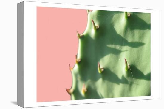 Cactus Flat-Sheldon Lewis-Stretched Canvas