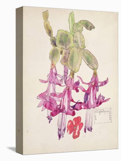 Cactus Flower-Charles Rennie Mackintosh-Premier Image Canvas