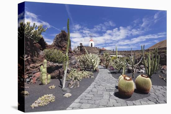 Cactus garden (Jardin de Cactus) by Cesar Manrique, UNESCO Biosphere Reserve, Guatiza, Spain-Markus Lange-Premier Image Canvas