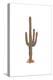 Cactus - Icon-Lantern Press-Stretched Canvas