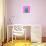 Cactus - Neon Pink Minimal Stillife-Indigo Photo Club-Stretched Canvas displayed on a wall