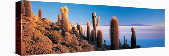 Cactus on a Hill, Salar De Uyuni, Potosi, Bolivia-null-Premier Image Canvas