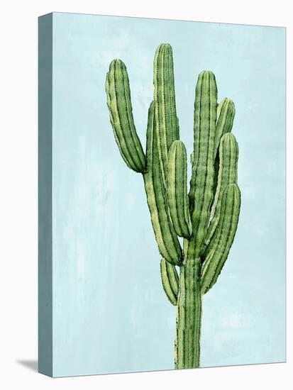 Cactus on Blue I-Mia Jensen-Stretched Canvas