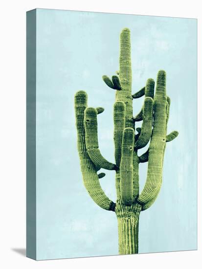 Cactus on Blue II-Mia Jensen-Stretched Canvas