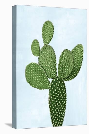 Cactus on Blue VIII-Mia Jensen-Stretched Canvas