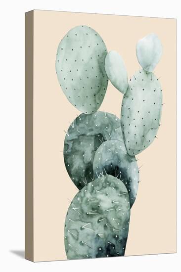 Cactus on Coral I-Grace Popp-Stretched Canvas