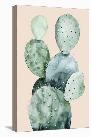 Cactus on Coral II-Grace Popp-Stretched Canvas