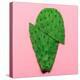 Cactus on Pink Background. Minimal Design Photo-Evgeniya Porechenskaya-Stretched Canvas