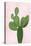 Cactus on Pink VIII-Mia Jensen-Stretched Canvas