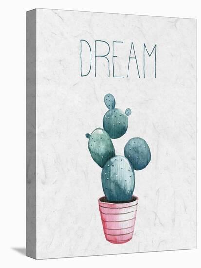 Cactus Pink 1-Kimberly Allen-Stretched Canvas
