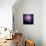 Cactus Silhouetted Against Lightning, Tucson, Arizona, USA-Tony Gervis-Premier Image Canvas displayed on a wall