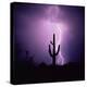 Cactus Silhouetted Against Lightning, Tucson, Arizona, USA-Tony Gervis-Premier Image Canvas