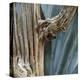 Cactus Skeleton-Ken Bremer-Stretched Canvas