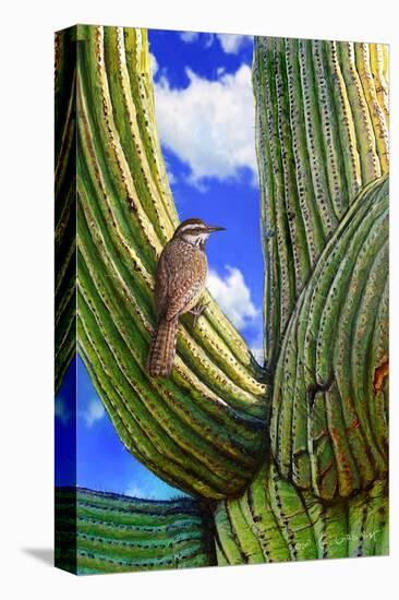 Cactus Wren-Chris Vest-Stretched Canvas