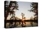 Caddo Lake at Sunrise, Marion Co., Texas, Usa-Larry Ditto-Premier Image Canvas