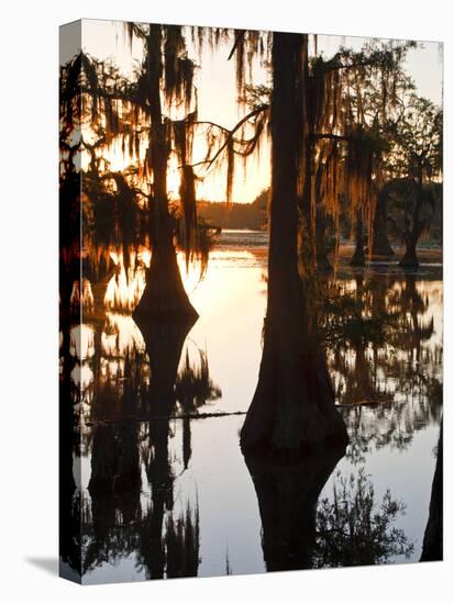 Caddo Lake at Sunrise, Marion Co., Texas, Usa-Larry Ditto-Premier Image Canvas