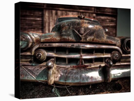 Caddy-Stephen Arens-Premier Image Canvas