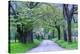 Cades Cove Lane-Michael Blanchette Photography-Stretched Canvas
