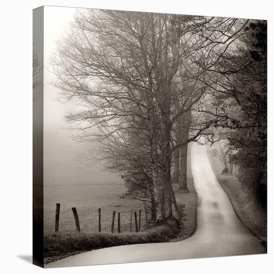Cades Cove-Nicholas Bell-Stretched Canvas