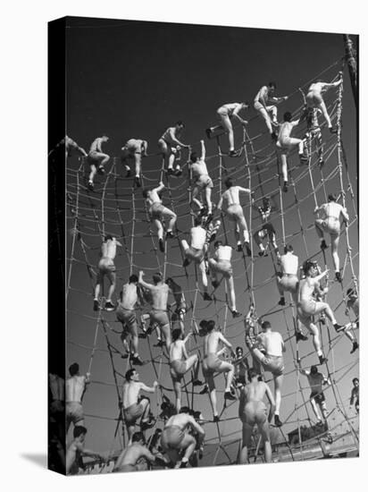 Cadets in the US Navy Climbing Rope Wall During Obstacle Course-Dmitri Kessel-Premier Image Canvas