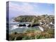 Cadgwith Harbour and Village, Cornwall, England, United Kingdom-Adam Woolfitt-Premier Image Canvas