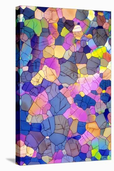 Caffeine Crystals, Light Micrograph-David Parker-Premier Image Canvas