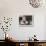 Caffetteria-Judy Mandolf-Stretched Canvas displayed on a wall